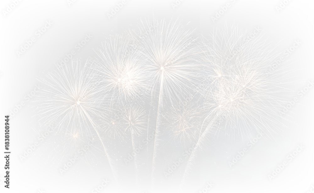 Obraz premium Celebration Fireworks Blast at Night PNG