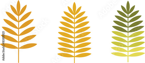 Minimal flat botanical leaves collection in warm autumn colors with modern symmetry vector illustration