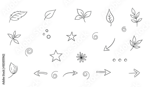 Simple Line Art Botanical Elements Leaves Flowers Swirls Arrows and Circles Keywords: botanical, element, leaf, flower, swirl, arrow, circle, line art, drawing, sketch, simple, minimalist, organic