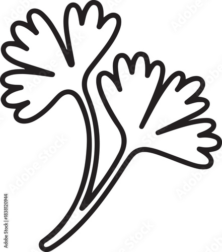 Parsley sprig vector outline illustration representing culinary and food related concepts and ingredients