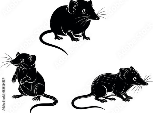 flavector stylized rodent silhouettes sitting standing and crouched with whiskers tails and fur texture black vector