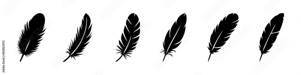 Fototapeta premium A set of black feather silhouettes, showcasing various shapes and sizes.
