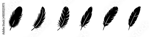 A set of black feather silhouettes, showcasing various shapes and sizes.