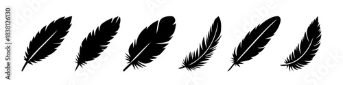 A set of black feather silhouettes, showcasing various shapes and sizes.