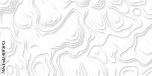 Dynamic topographic design elements forming soft flowing contours. white paper cut abstract layers. contemporary abstract shapes forming seamless layered topographic designs.	