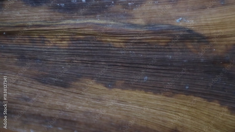 Fototapeta premium Close-up of Dark Wood Grain Texture with Horizontal Stripes.