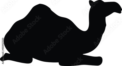 Sitting Camel Silhouette – Resting Dromedary Desert Animal Vector Illustration in Solid Black Isolated on Transparent Background