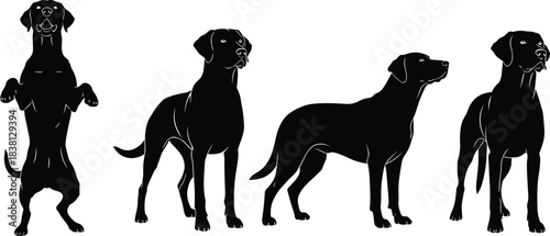 Collection of dog breed black silhouette vector illustration set, standing and rearing up poses, loyal domestic companion animal, veterinary graphic element, purebred mammal portrait.
