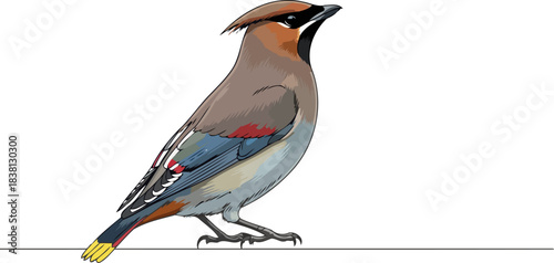 bohemian rhapsody a stylish avian icons glimmering presence and winter elegance, isolated on transparent background