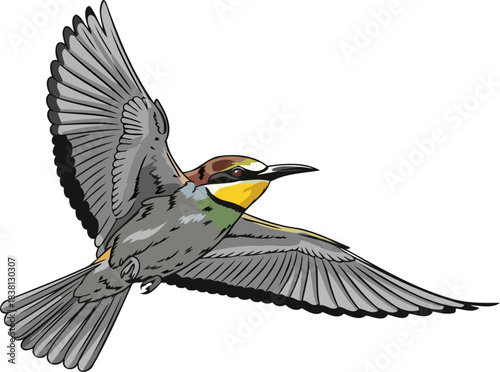 celestial traveler a vibrant illustrating natures spirited ascent, isolated on transparent background