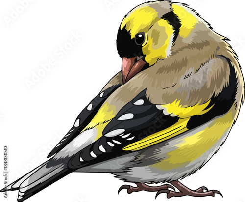 feathered jewel exquisite goldfinch art illustrating natures gentle spirit, isolated on transparent background