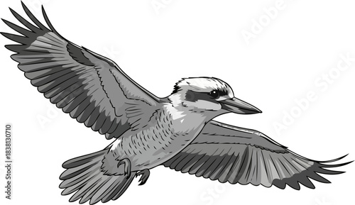 laughters legacy kookaburra takes flight, embodying freedom and australian spirit, isolated on transparent background