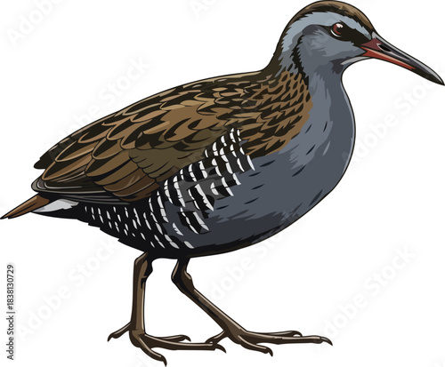 marshland sentinel elusive wetland guardian, a vibrant emblem of hidden aquatic ecosystems, isolated on transparent background