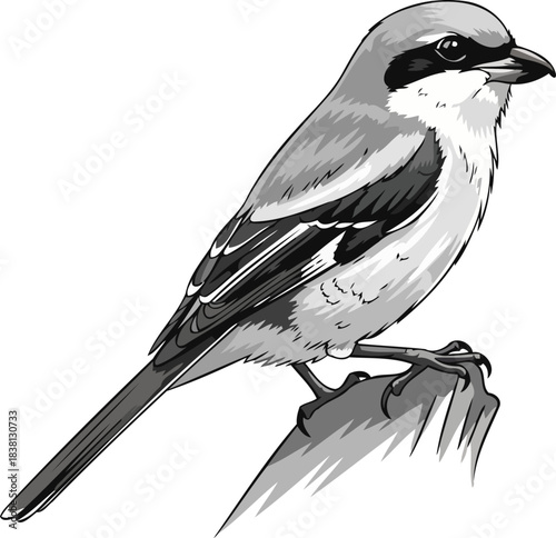 masked hunter a shrikes intense watch, emblem of wild primal instinct, isolated on transparent background