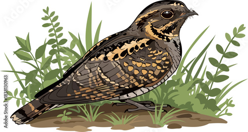 natures illusionist master of disguise amidst the verdant undergrowth, isolated on transparent background