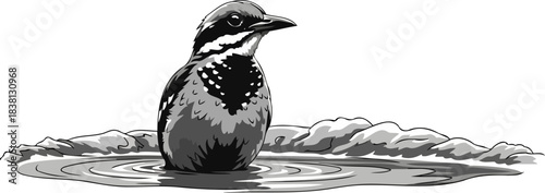 natures quiet ritual a monochromatic moment of purity and renewal, isolated on transparent background