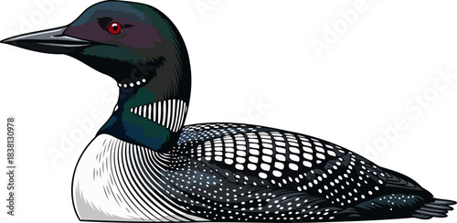 northern lake jewel majestic loons iconic presence, a symbol of untamed waters, isolated on transparent background