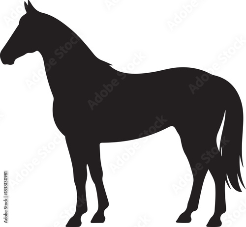 Black silhouette of a horse standing still on a white background animal