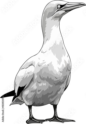 oceanic sentinel a stylized glimpse into marine wilderness and soaring spirit, isolated on transparent background