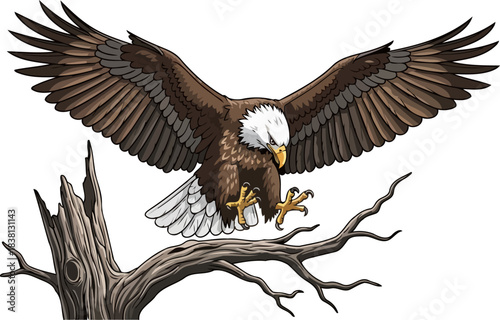 sky wardens return eagles bold landing, reclaiming its natural command, isolated on transparent background