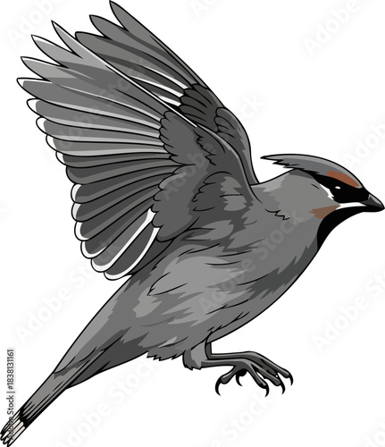 sleek skyward dash a vision of agile avian ascent, isolated on transparent background