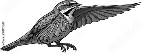 skyward impulse natures dynamic surge of wild freedom and discovery, isolated on transparent background