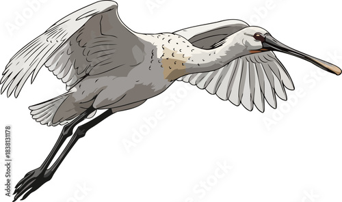 spoonbills elegant arc navigating wetlands with natures unique design, isolated on transparent background