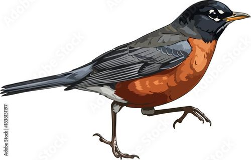 sunrises companion an energetic robin symbolizing fresh beginnings and hope, isolated on transparent background