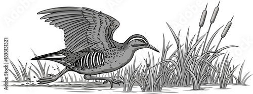 wetland sprint natures unseen energy exploding from the cattail sanctuary, isolated on transparent background