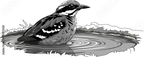 wild birds refreshing dip a moment of serenity in natures embrace, isolated on transparent background