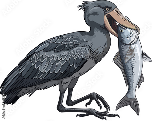 ancient hunters triumph shoebills imposing bill securing its aquatic feast, isolated on transparent background