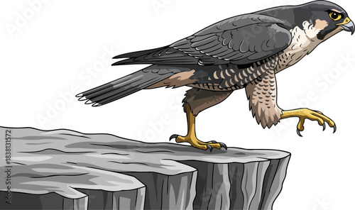 apex predator poised at the precipice of boundless flight, isolated on transparent background