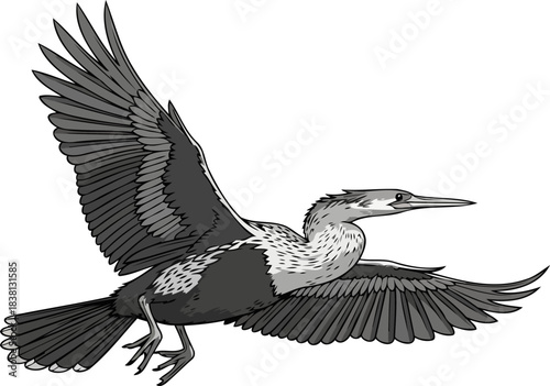 ascendant grace winged journey across the skys vast canvas, isolated on transparent background