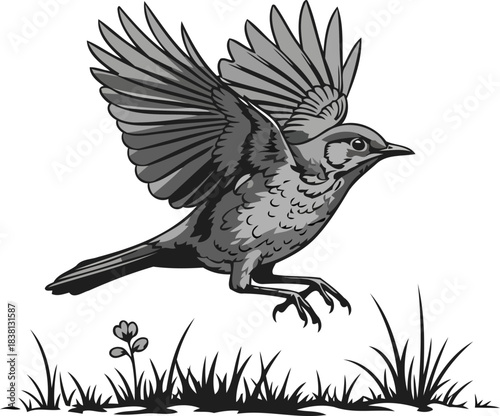 ascensions grace a feathered souls leap into infinite horizons, isolated on transparent background