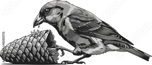 conifers secret a songbirds instinctive quest for natures hidden nourishment, isolated on transparent background