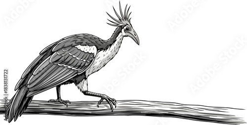 crested sentinel an ancient spirits gaze across timeless woodlands, isolated on transparent background