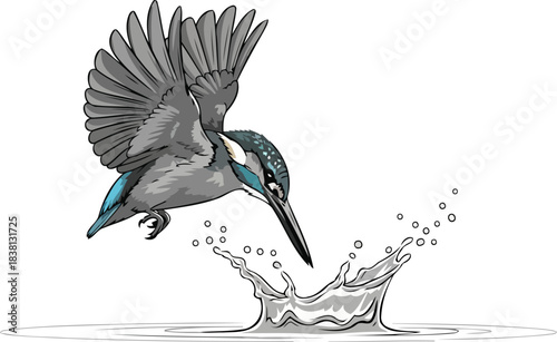 dive of destiny natures swift plunge ignites a splash of life, isolated on transparent background