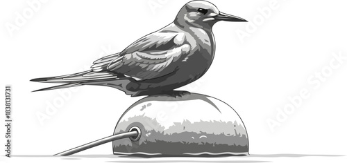 deep dive sentinel feathered watcher anchoring the flow of information, isolated on transparent background