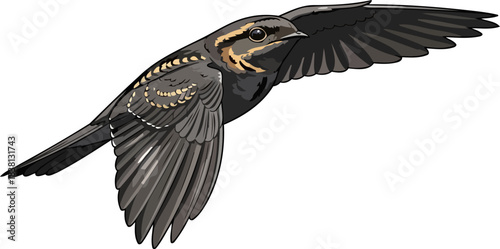 ethereal voyager a winged entitys journey through the skys silent tapestry, isolated on transparent background