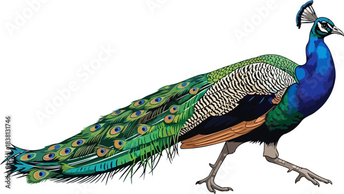 emerald regality a peacocks measured pace, showcasing lifes vivid, unfolding splendor, isolated on transparent background