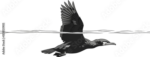 liquid lift a graphic waterbirds powerful ascent from submerged worlds, isolated on transparent background