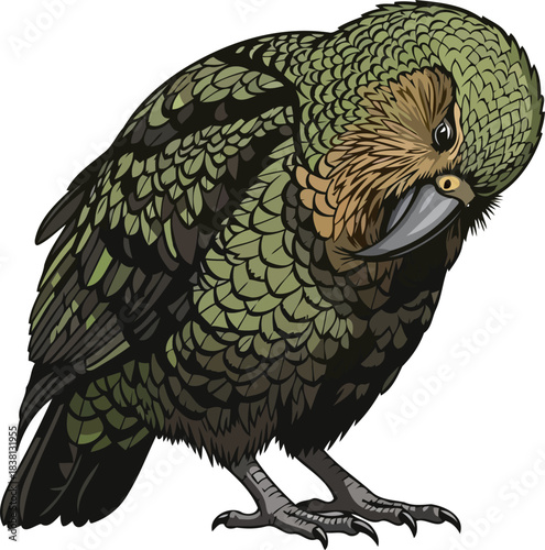 mossy majesty the kakapos secret world, a rare glimpse of earths quiet wonders, isolated on transparent background