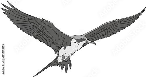 sky mariner a master of oceanic winds, guiding through boundless journeys, isolated on transparent background