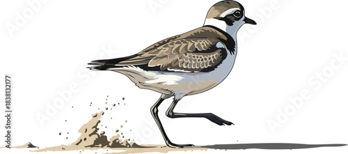 shoreline sprint kinetic energy unleashed by a coastal wanderer, isolated on transparent background