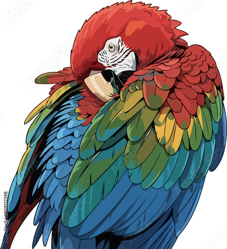 vibrant echoes an illustrated macaws colorful pause, embracing tropical stillness, isolated on transparent background