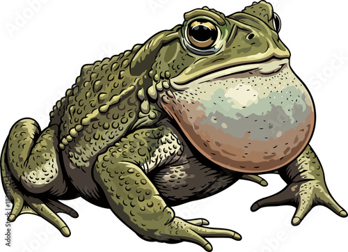 amphibian serenade unveiling the hidden voices of the wetlands heart, isolated on transparent background