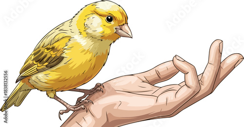 awakened spirit vibrant canary connects with a hand in peaceful mudra, isolated on transparent background