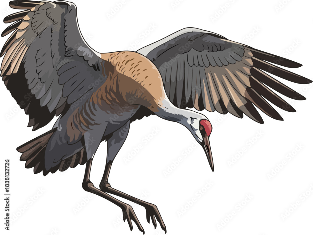 Fototapeta premium ephemeral grace witness the powerful motion of a cranes wild flight, isolated on transparent background