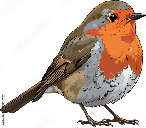 crimson heart natures beloved robin, vividly illustrated with artistic grace, isolated on transparent background