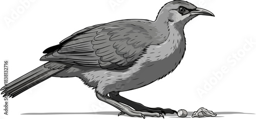 earthbound serenity a stylized birds grounded quest for sustenance, isolated on transparent background